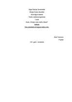 Referāts 'Tiesu precedents - kā Anglijas tiesību avots', 1.