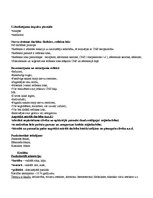 Konspekts 'Nervu sistēma', 2.