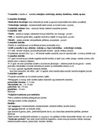 Konspekts 'Nervu sistēma', 7.