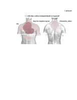 Referāts 'Miokarda infarkta ārstēšana un ājurvēdas profilakses metodes', 21.