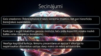 Prezentācija 'Nervu sistēmas strukturālā un funkcionālā organizācija', 14.