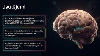 Prezentācija 'Nervu sistēmas strukturālā un funkcionālā organizācija', 16.