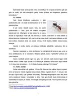 Referāts 'Dezinsekcija viesnīcās un ēdināšanas uzņēmumos', 5.