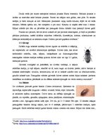 Referāts 'Dezinsekcija viesnīcās un ēdināšanas uzņēmumos', 7.