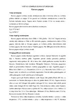 Eseja 'Vietas komplekss raksturojums', 1.