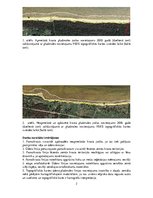 Paraugs 'Tālizpētes materiālu izmantošana jūras krasta dinamikas izpētē', 2.