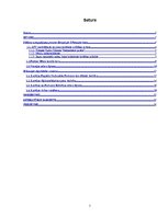 Referāts 'Latvijas starptautiskā atzīšana. 1917.-1921.gads', 2.