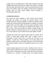 Referāts 'Latvijas starptautiskā atzīšana. 1917.-1921.gads', 8.