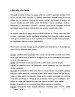 Referāts 'Latvijas starptautiskā atzīšana. 1917.-1921.gads', 10.