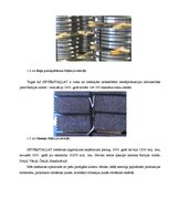 Paraugs 'Uzņēmējdarbības kvantitatīvā analīze, matemātiskie modeļi (1.laboratorijas darbs', 4.