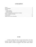 Referāts 'Civiltiesības - Ģimenes tiesības', 2.