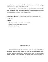 Referāts 'Civiltiesības - Ģimenes tiesības', 3.