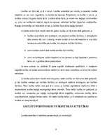 Referāts 'Civiltiesības - Ģimenes tiesības', 8.