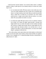 Referāts 'Civiltiesības - Ģimenes tiesības', 10.