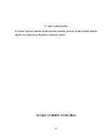 Referāts 'Civiltiesības - Ģimenes tiesības', 11.