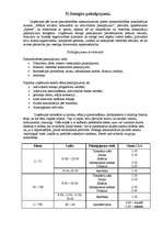 Biznesa plāns 'SIA "Mobile"', 11.