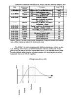 Biznesa plāns 'SIA "Mobile"', 13.