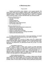 Biznesa plāns 'SIA "Mobile"', 15.