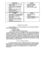 Biznesa plāns 'SIA "Mobile"', 17.