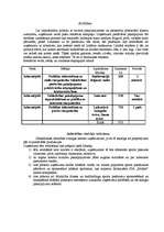 Biznesa plāns 'SIA "Mobile"', 18.