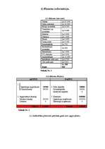 Biznesa plāns 'SIA "Mobile"', 20.