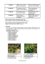 Prezentācija 'Īpaši aizsargājamās dabas teritorijas Latvijā', 6.