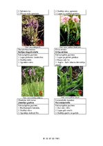 Prezentācija 'Īpaši aizsargājamās dabas teritorijas Latvijā', 7.