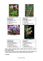 Prezentācija 'Īpaši aizsargājamās dabas teritorijas Latvijā', 8.