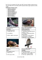 Prezentācija 'Īpaši aizsargājamās dabas teritorijas Latvijā', 9.