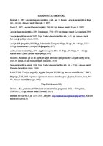 Prakses atskaite 'Ūdens plūsmas vaļējās gultnēs. Rēzeknes upe', 5.