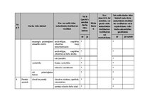 Paraugs 'Darba aizsardzība un ugundrošība mežizstrādes uzņēmumā', 17.