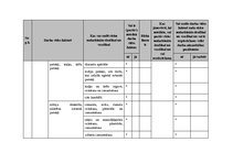 Paraugs 'Darba aizsardzība un ugundrošība mežizstrādes uzņēmumā', 20.
