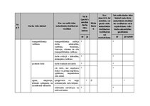 Paraugs 'Darba aizsardzība un ugundrošība mežizstrādes uzņēmumā', 28.