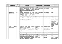 Paraugs 'Darba aizsardzība un ugundrošība mežizstrādes uzņēmumā', 33.