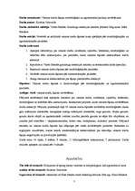 Referāts 'Miežu šķirņu agronomija Valsts Stendes Graudaugu selekcijas institūtā 2007.gada ', 3.