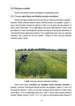 Referāts 'Miežu šķirņu agronomija Valsts Stendes Graudaugu selekcijas institūtā 2007.gada ', 14.