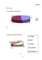 Referāts 'Jauniešu darba iespējas Anglijā', 19.