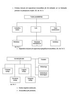 Konspekts 'Organizācijas struktūra', 3.