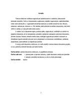 Referāts 'Dokumentu iedlījums', 3.