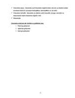 Referāts 'Dokumentu iedlījums', 11.