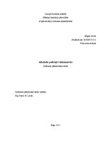 Referāts 'Alkohola patēriņš rokkoncertos', 1.