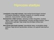 Prezentācija 'Hipnoze', 3.