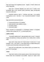 Referāts 'Demogrāfiskā situācija Latvijā un Rīgas rajonā', 17.