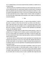 Referāts 'Raganu un ķeceru prāvas viduslaikos', 8.