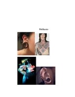 Referāts 'Ķermeņa modifikācijas un pārveidojumi jauniešu vidū', 13.