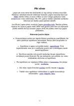 Referāts '1905. -1907.gada revolūcija', 11.