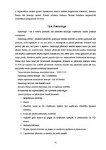 Referāts 'Prakses atskaite AS "Rietumu banka"', 81.