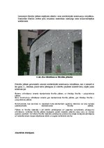 Referāts 'Fibrolīta izmantošana būvniecībā', 7.