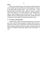 Referāts 'Biznesa socioloģija', 15.