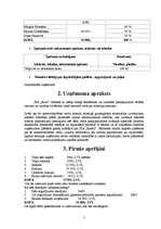 Biznesa plāns 'SIA “Rrrrr” ', 5.